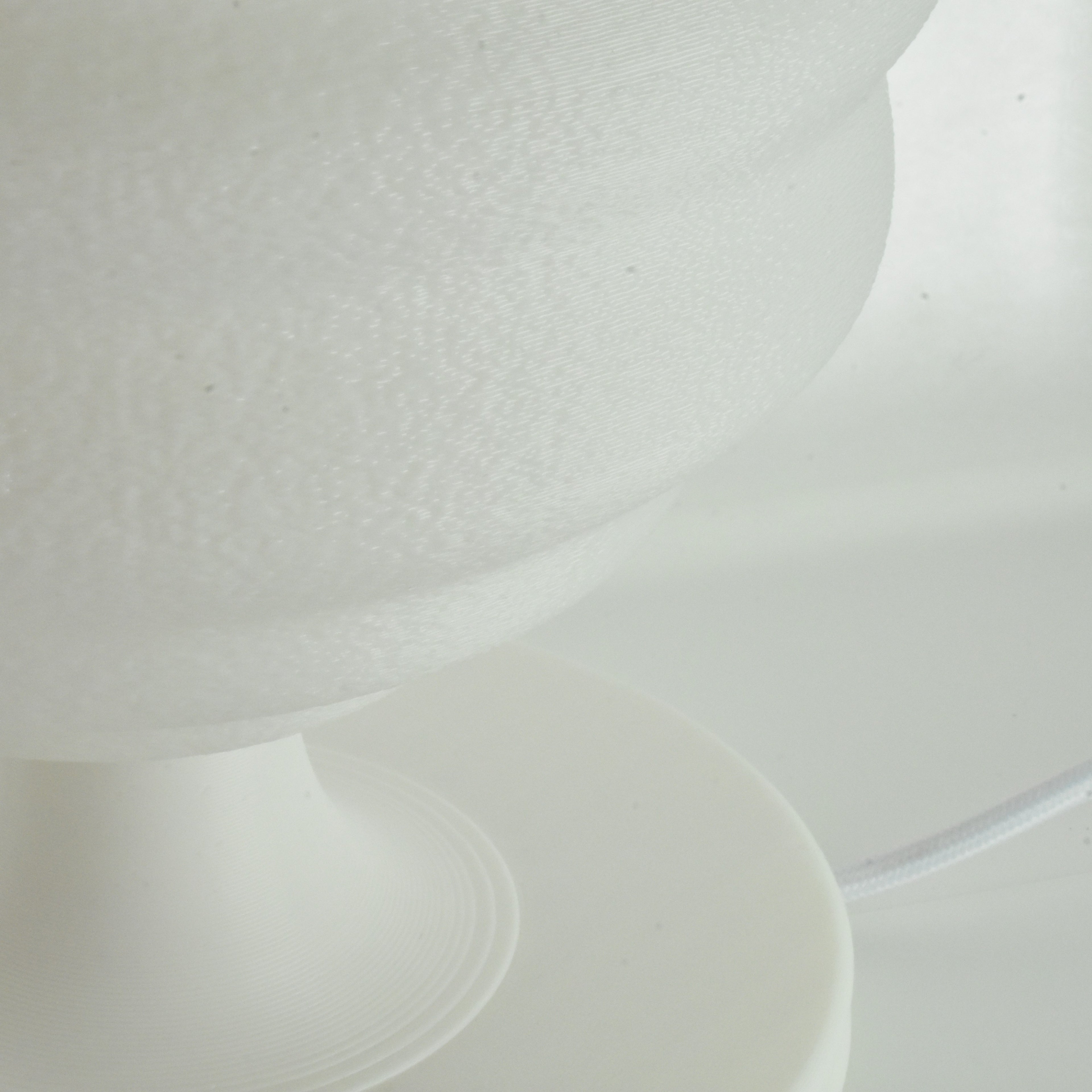 LAMPALA | White for C.